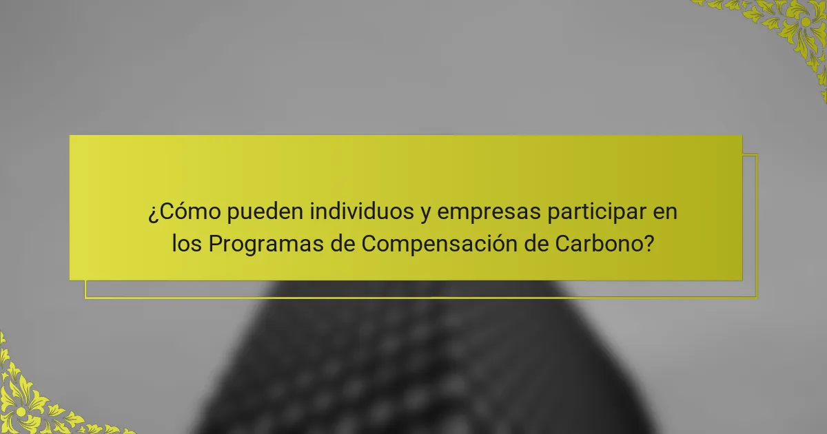 ¿Cómo pueden individuos y empresas participar en los Programas de Compensación de Carbono?