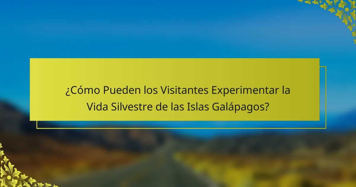 ¿Cómo Pueden los Visitantes Experimentar la Vida Silvestre de las Islas Galápagos?