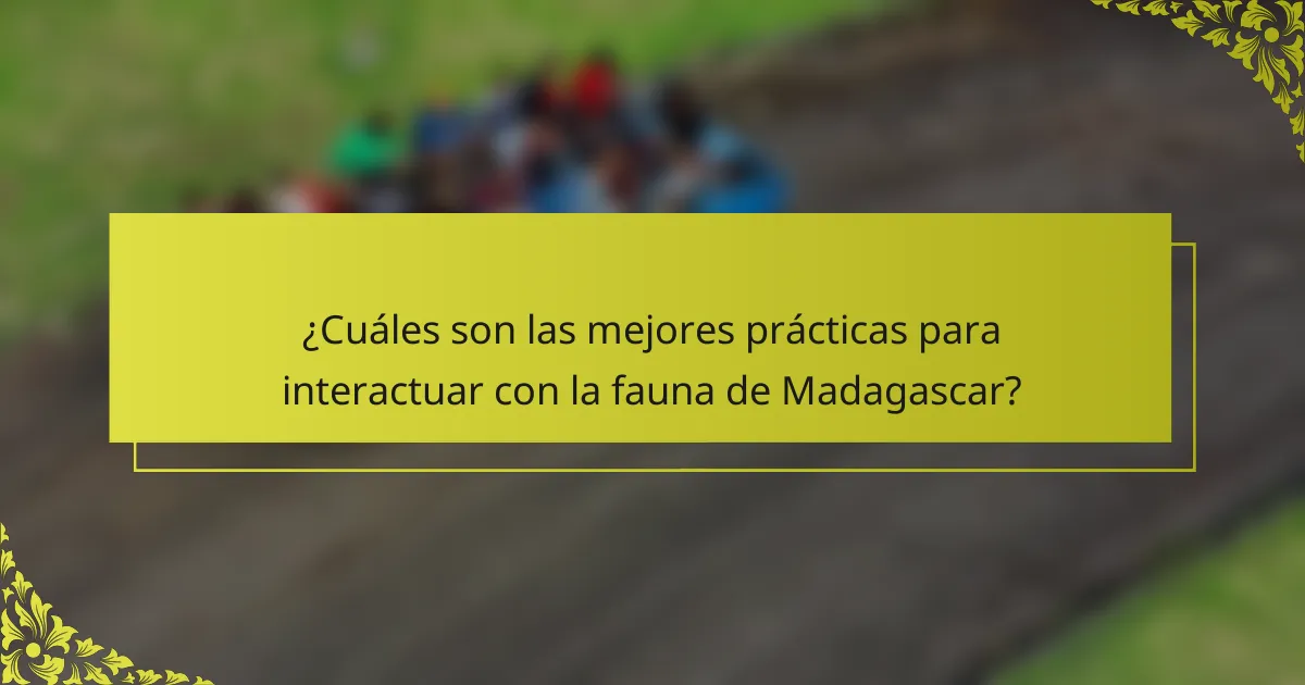 ¿Cuáles son las mejores prácticas para interactuar con la fauna de Madagascar?