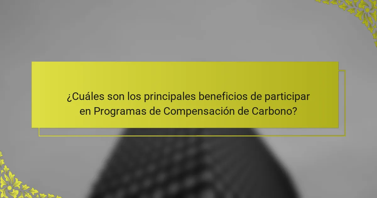 ¿Cuáles son los principales beneficios de participar en Programas de Compensación de Carbono?
