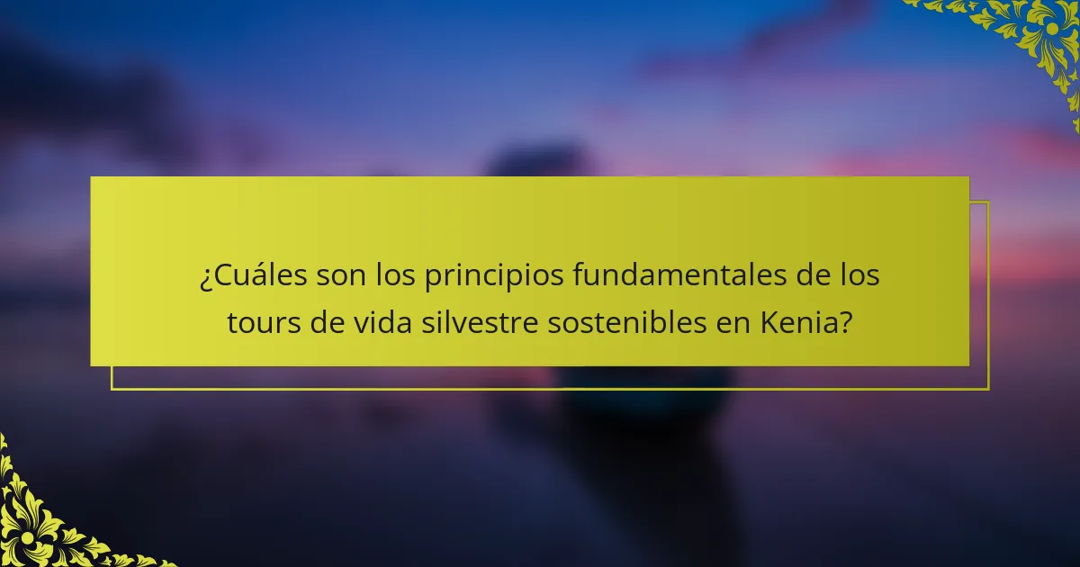 ¿Cuáles son los principios fundamentales de los tours de vida silvestre sostenibles en Kenia?