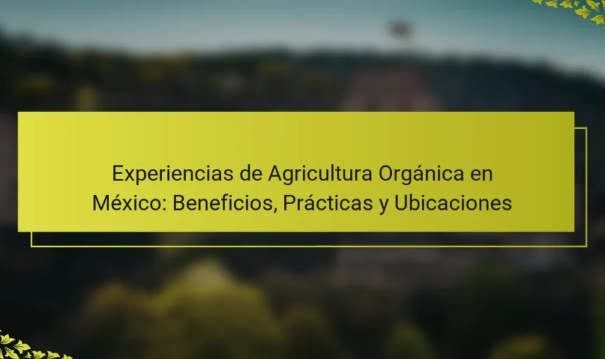 Experiencias de Agricultura Orgánica en México: Beneficios, Prácticas y Ubicaciones