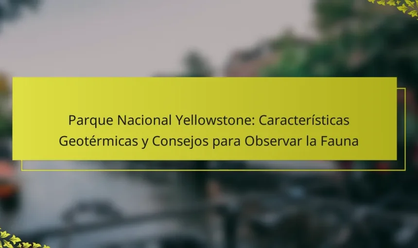Parque Nacional Yellowstone: Características Geotérmicas y Consejos para Observar la Fauna