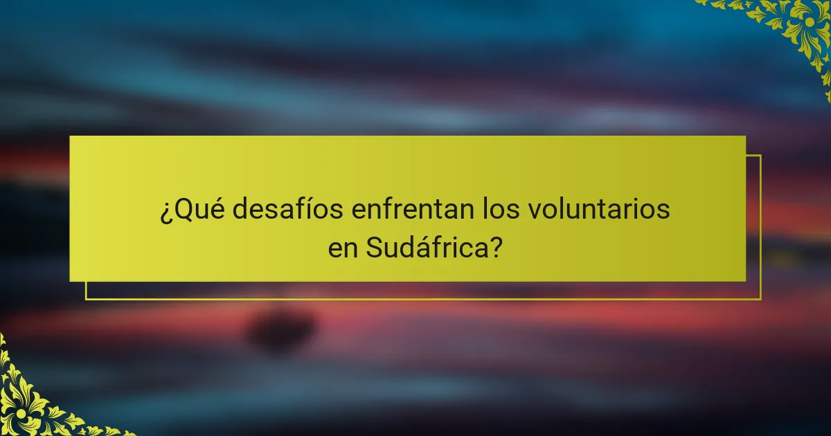 ¿Qué desafíos enfrentan los voluntarios en Sudáfrica?