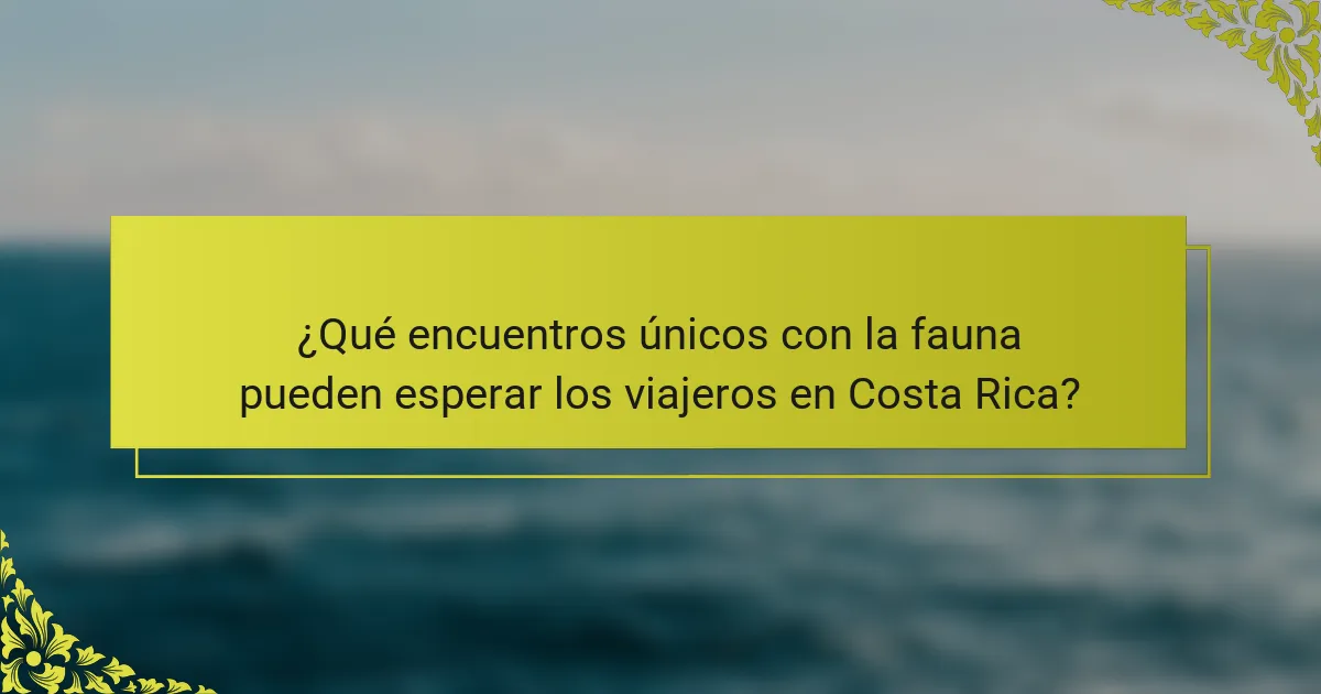 ¿Qué encuentros únicos con la fauna pueden esperar los viajeros en Costa Rica?