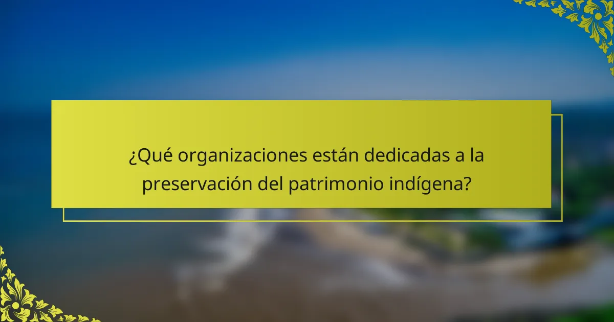 ¿Qué organizaciones están dedicadas a la preservación del patrimonio indígena?